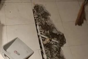桥西卫生间漏水检测电话